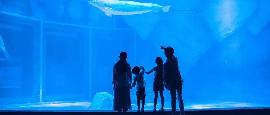 可愈有道_心理崩溃：当至亲患上癌症，家属该如何面对？