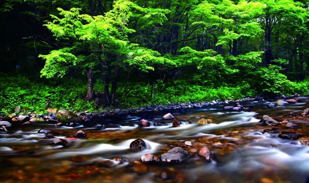 白山你应该了解的A级景区——十五道沟望天鹅景区（4A）