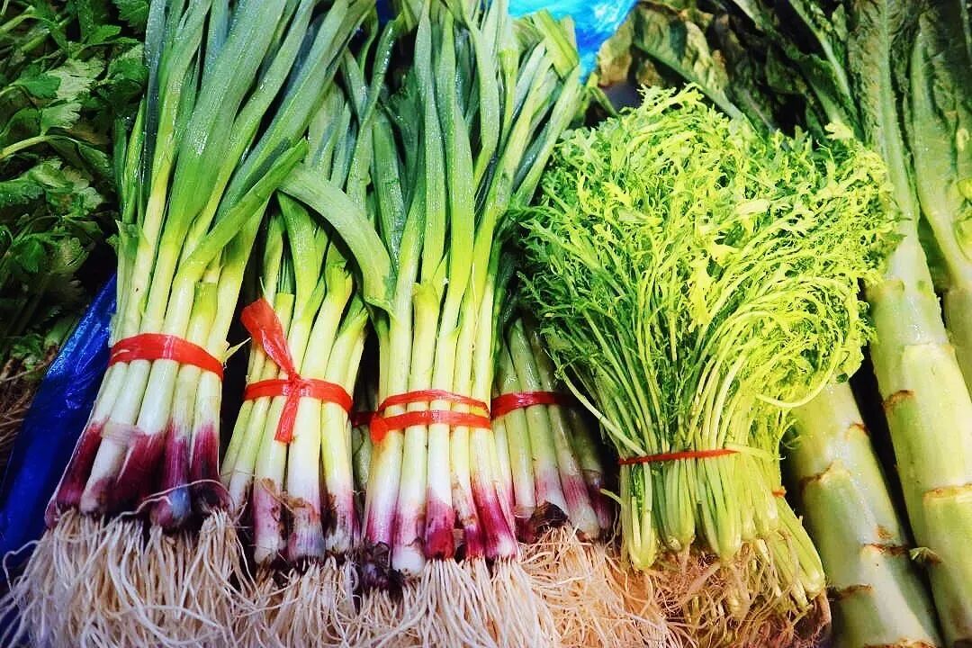 ��emo������ʳ���ҹ��ﶬ��