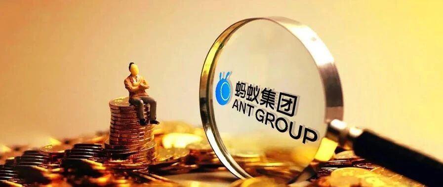 被按下暂停键的蚂蚁会怎样归来？