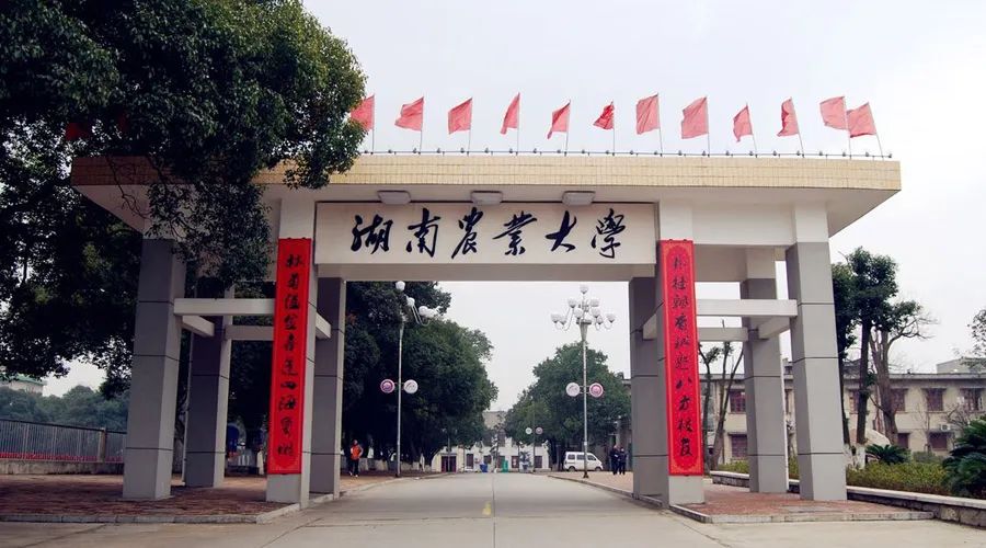 湖南农业大学 全景图图片