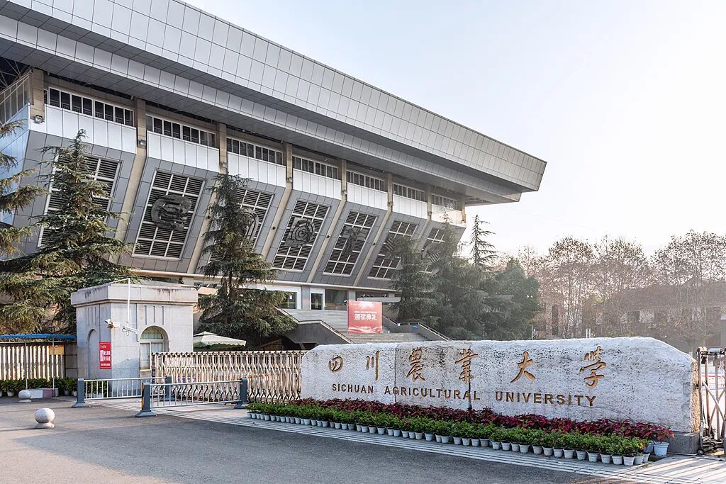 四川农业大学 2026 年招生计划
