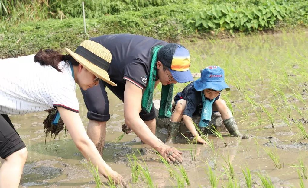 郭晶晶「神仙育兒」又上熱搜：被低估的豪門教育有多狠？ 親子 第2張