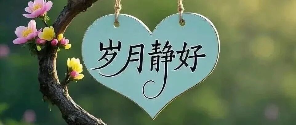 林心如现状最新消息2026