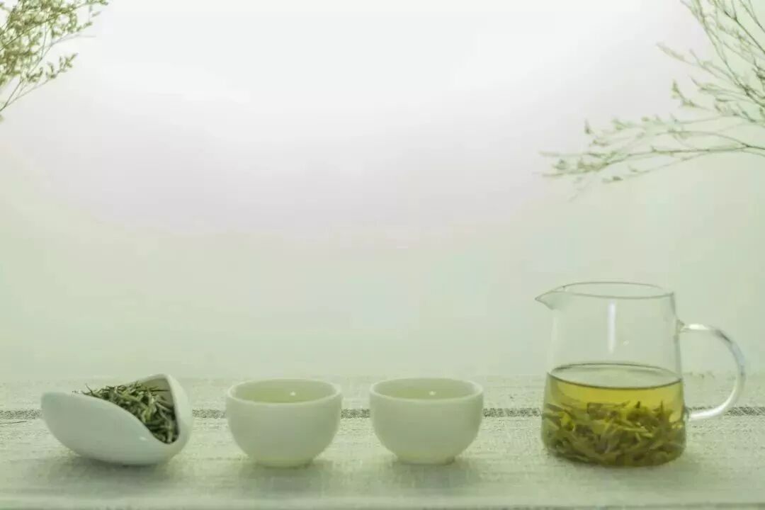 大暑排湿正当时，喝什么茶好？