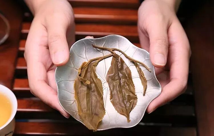 好茶不怕开水烫，是真的吗？