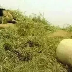 老板挺住，今年的生意就像这四张图！