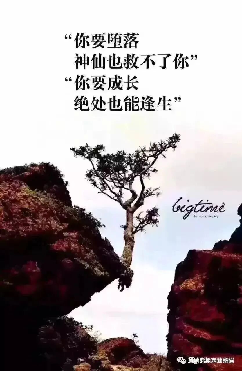 你要堕落，神仙也救不了； 你要成长，绝处也能逢生！
