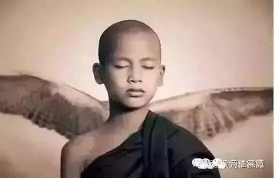 《我 ，是一切的根源》写的很好