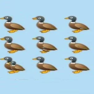 这张图中有16只鸭子，看出9只的老花眼，能看出14只的绝对还年轻！
