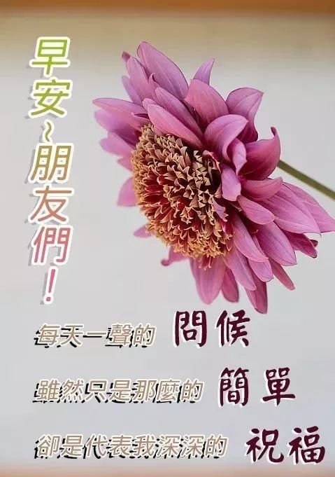 最新大家早上好的早安祝福图片最新早晨好问候 早安晚安心语正能量励志 微信公众号文章阅读 Wemp