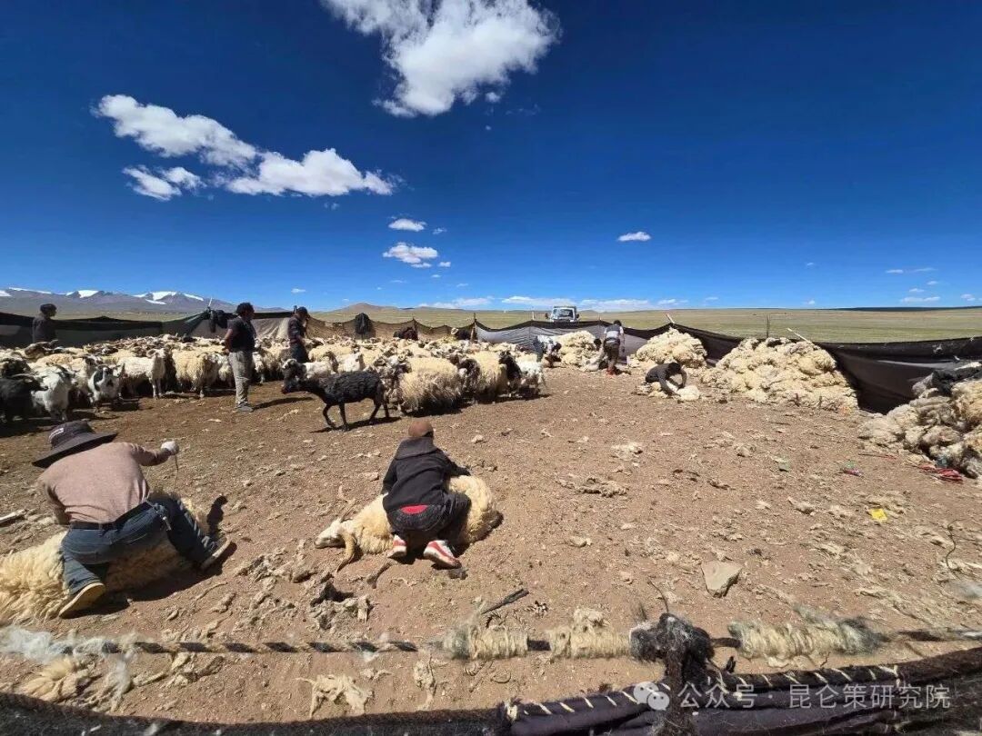 藏北高原上的牧业公社：如何创造安全感、获得感、可持续性 | 《乡村纪事》节选