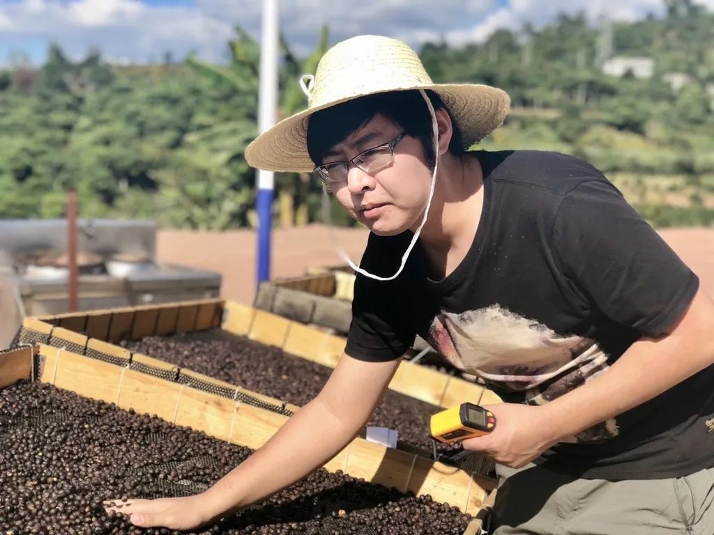 金科宏,云南保山有山咖啡庄园庄主;咖啡加工专家;歪脑揣猫咖啡馆主理人.jpg