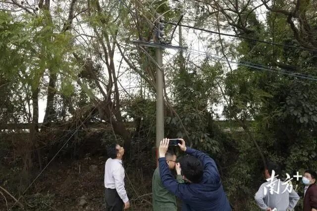 检察官对线路安全开展监督。