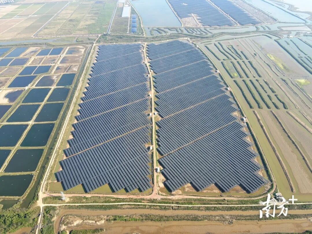 一排排太阳能板，齐刷刷地“站”在了咸围之上。