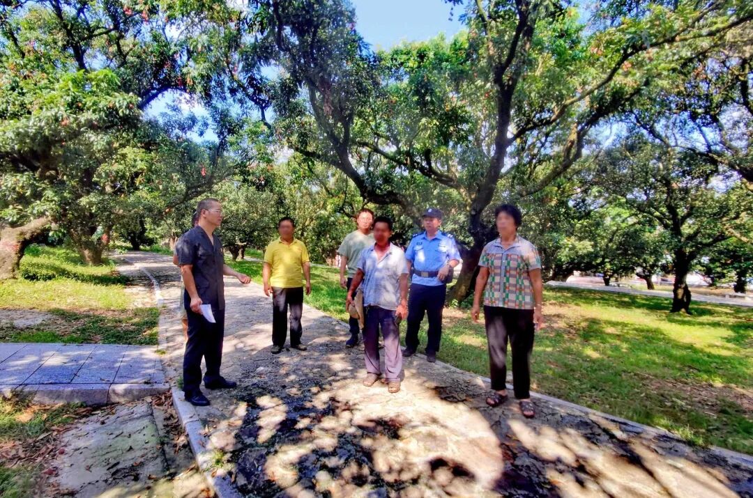 高州市根子镇启动“庭所共建”多元解纷机制联调化解一宗涉及99棵百龄荔枝树承包纠纷。