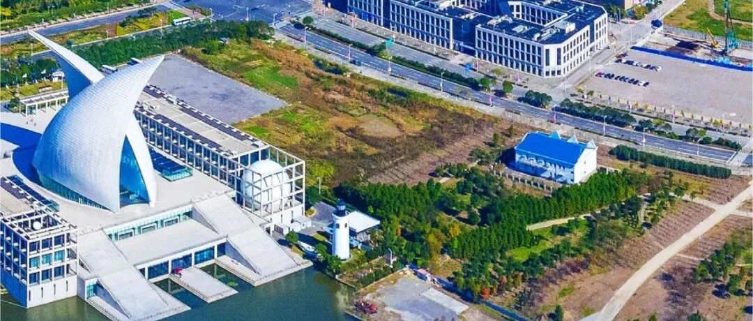央视《新闻联播》聚焦临港新片区：积极打造改革开放新高地
