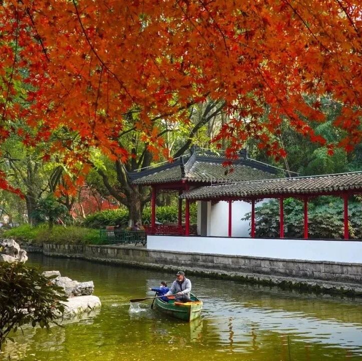 觅得浦东红黄暖，正是一年好“冬”景！