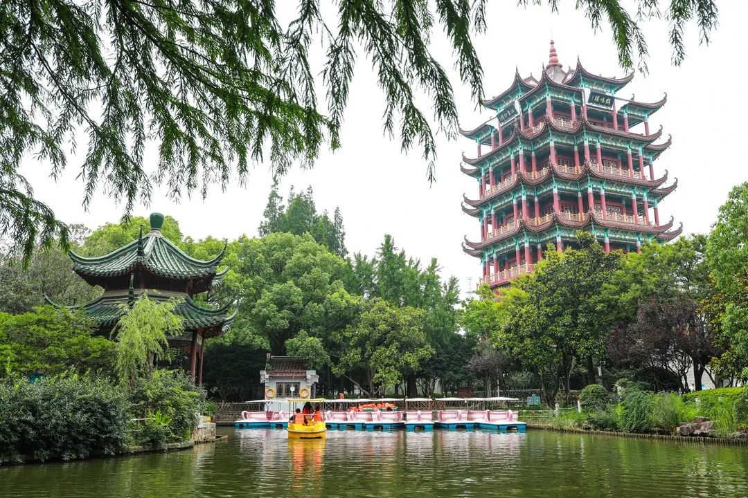 浦東這個極具江南古典特色的園林公園，是否出現在你的童年照片裡？ 旅遊 第14張