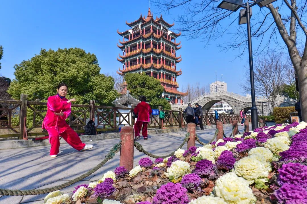 浦東這個極具江南古典特色的園林公園，是否出現在你的童年照片裡？ 旅遊 第24張