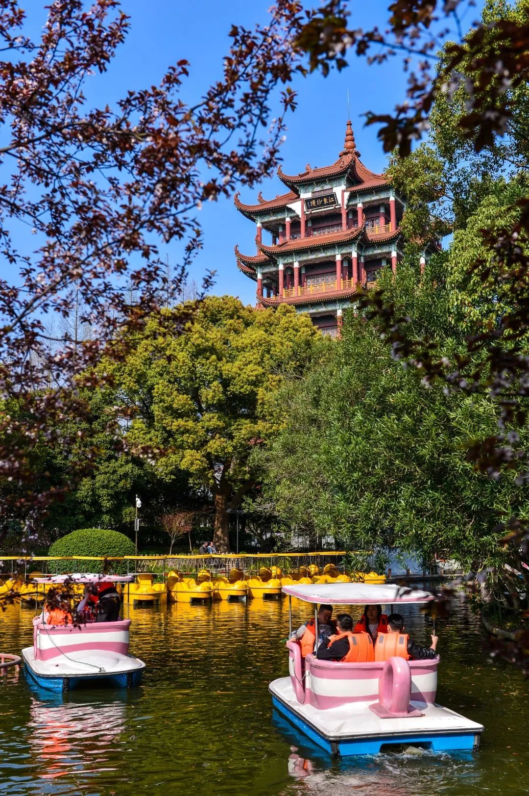 浦東這個極具江南古典特色的園林公園，是否出現在你的童年照片裡？ 旅遊 第18張