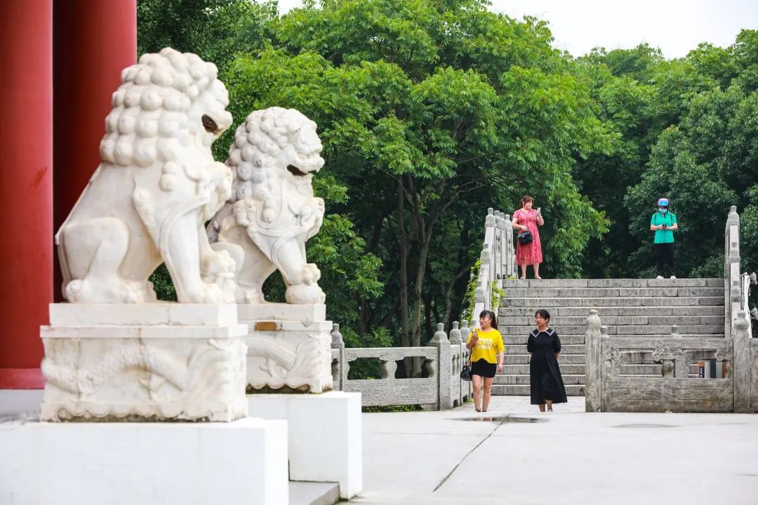 浦東這個極具江南古典特色的園林公園，是否出現在你的童年照片裡？ 旅遊 第6張