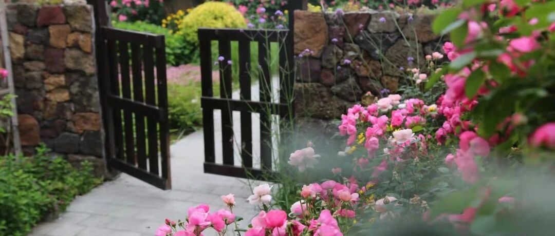 惊艳了时光！这家民宿直接把“莫奈花园”搬来了……【小布带你探民宿】