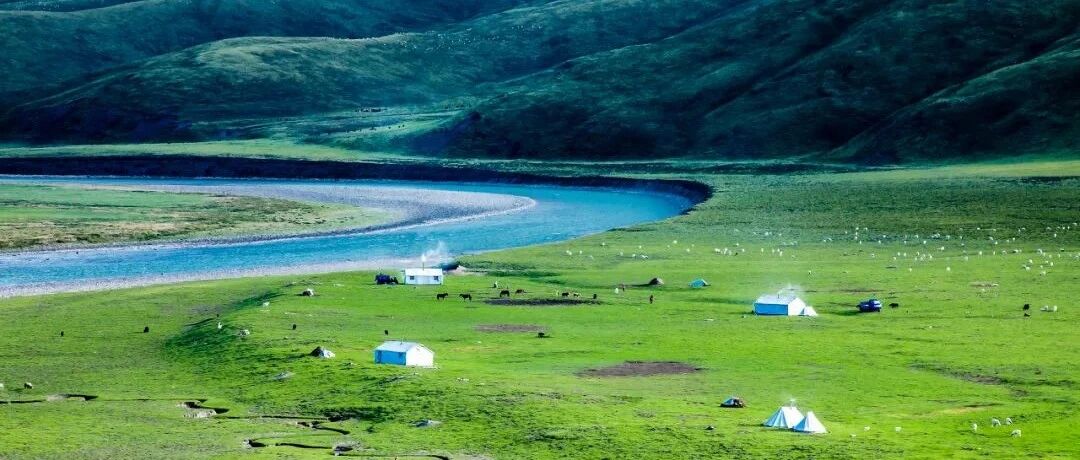 羊肉串、大盘鸡、皮带面……用一场西北美食，迎接下一个假期的到来！