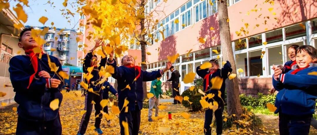 一起“寻找最美校园”！浦东这49所展示学校，有你的母校吗？