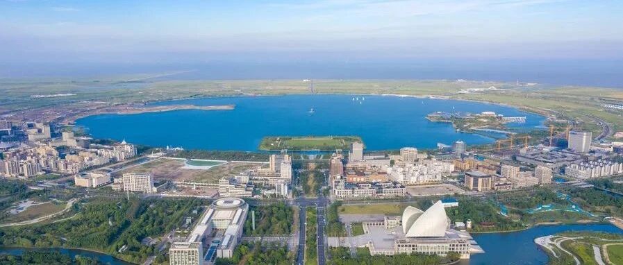 【新片区加速度】“三年大变样”决战决胜之年，桩机落地声连绵不绝，滴水湖畔塔吊林立