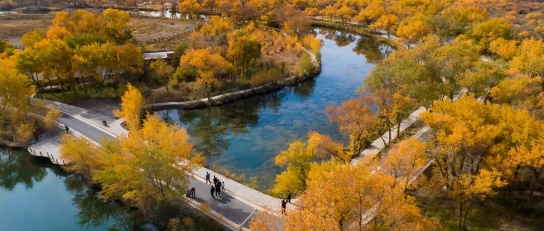 雪山/湖泊/戈壁/沙漠/湿地/草原/古城古村，援疆包机游不容错过[浦东号●上海援