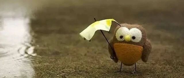 25℃→17℃！本周气温“过山车”，重点预防这6种病！