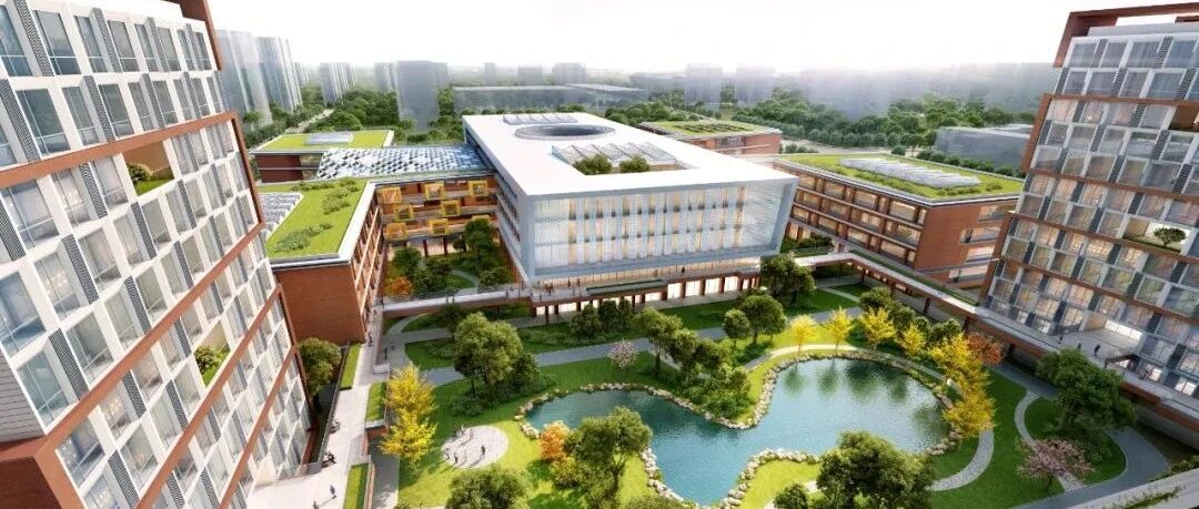 重磅！规模60个班级，这所名校在临港建校区啦