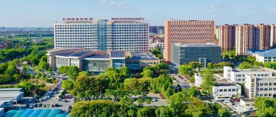 浦东市属、区属三级医院达15家！国家儿童医学中心、国家口腔医学中心等将加快引进