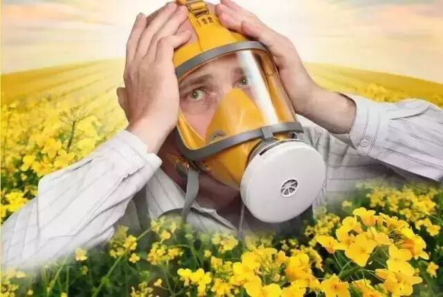 乾貨 今年是墨爾本50年來最嚴重花粉症 微生活達人教你中西醫最全花粉症對抗指南 墨爾本微生活 微文庫