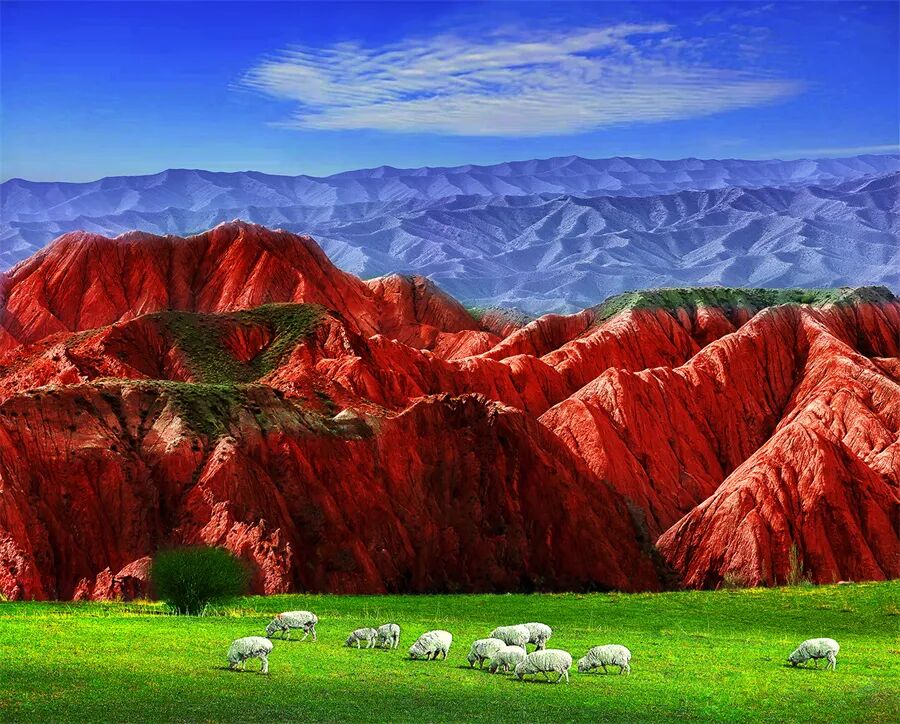 第三届维也纳国际摄影展画意组获奖作品