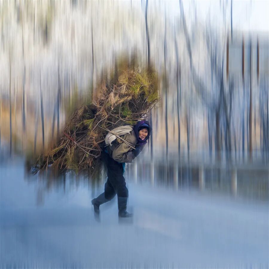 第三届维也纳国际摄影展画意组获奖作品