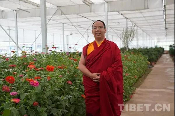 班禅重返故乡那曲：体察藏北民情 关注牧区生态