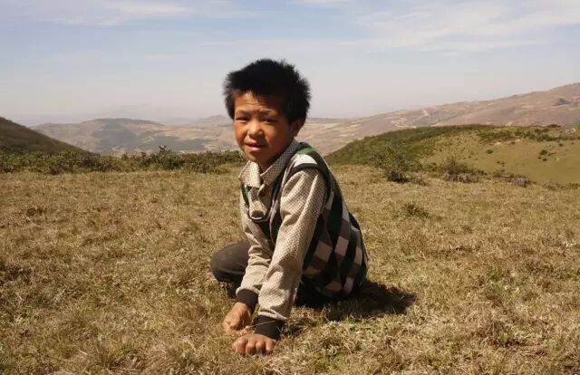 大山里的一群穷孩子写的诗,城里的孩子写不出这样的句子