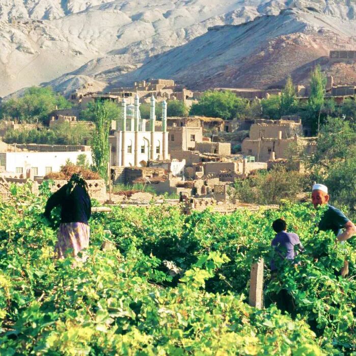 新疆深处,搞了一场特殊的大移民-温泉县人民政府