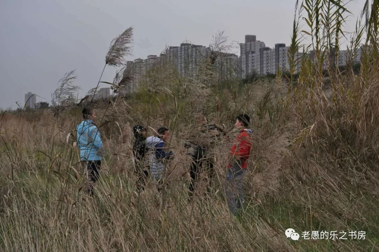 《诗经-蒹葭》公开课教学总结