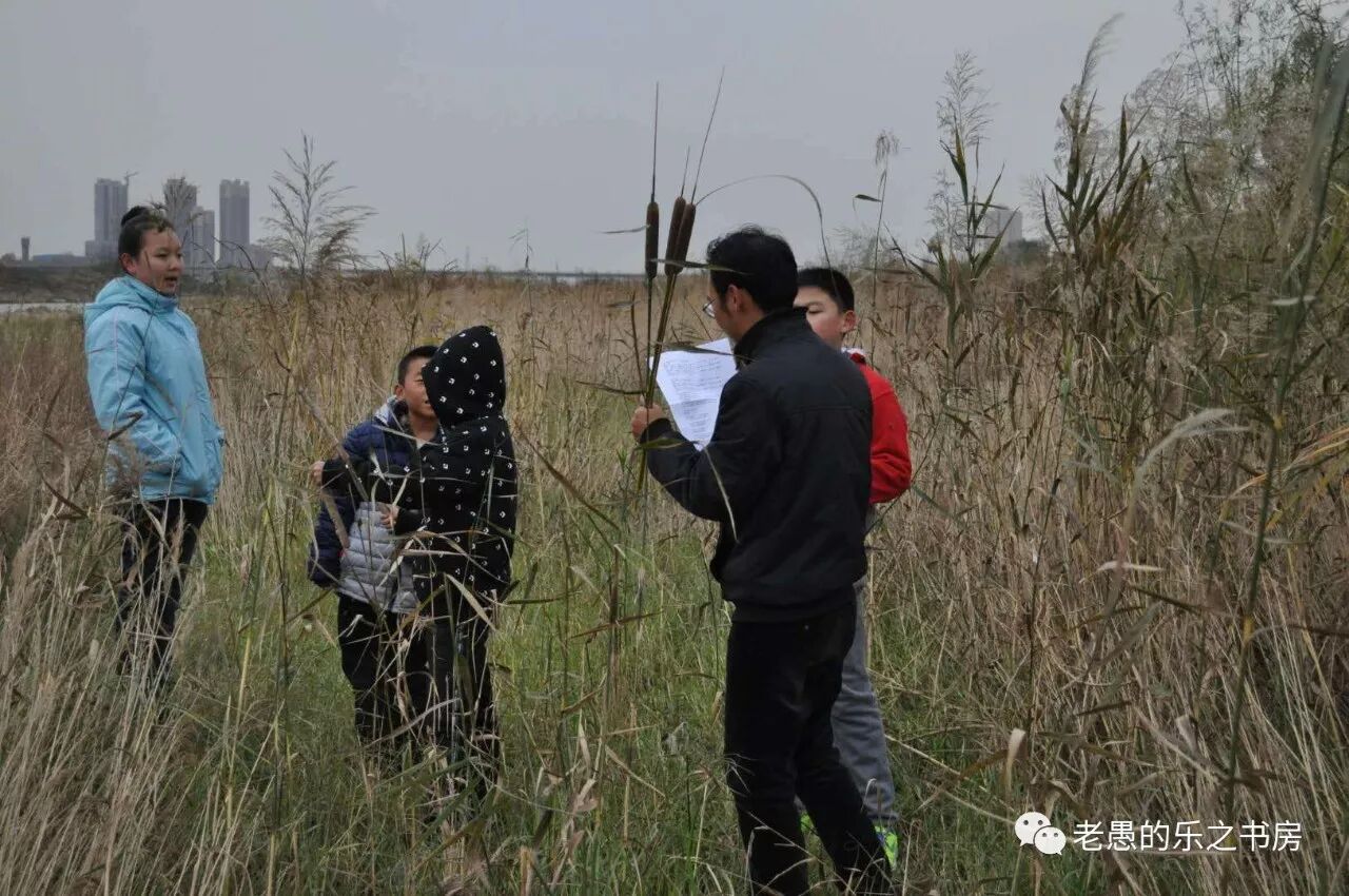 《诗经-蒹葭》公开课教学总结