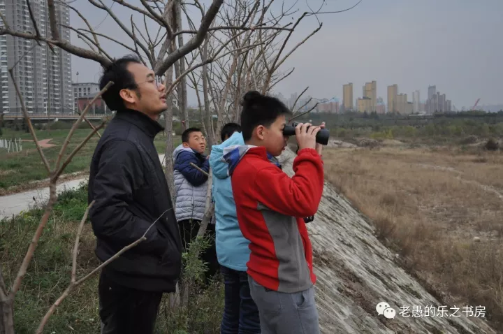 《诗经-蒹葭》公开课教学总结 《诗经-蒹葭》公开课教学总结