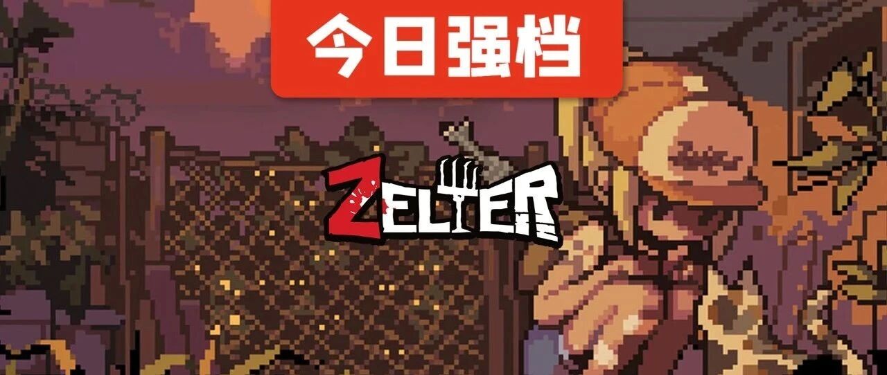 今日强档：Zelter
