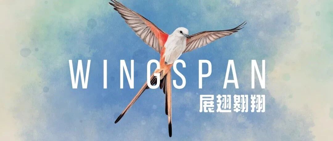 跟着鸟儿一起“展翅翱翔”