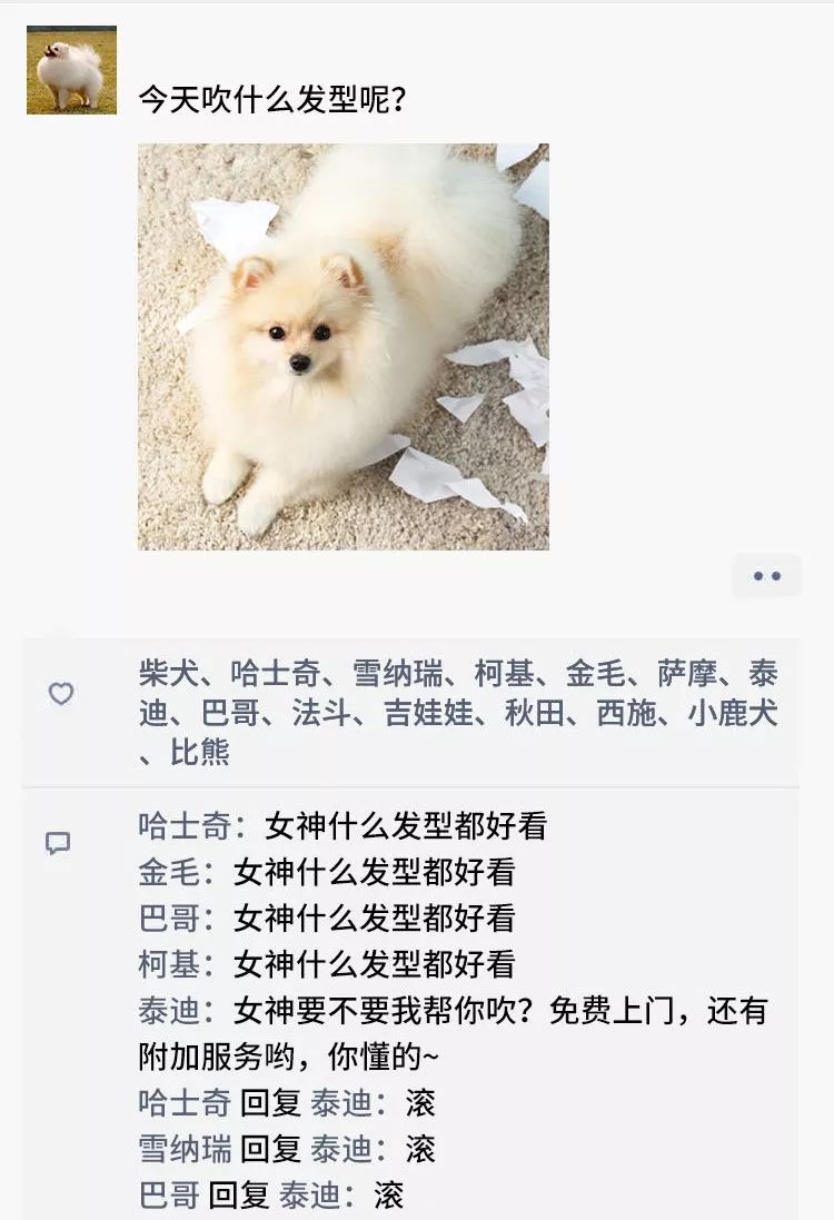 凌晨三點，狗狗突然發了條朋友圈... 寵物 第11張