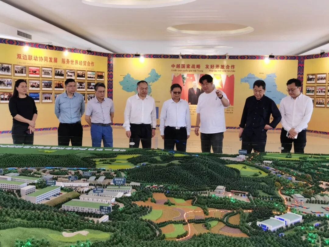 3月26日,调研组一行到靖西龙邦国际口岸调研民进中央联络委员会主任