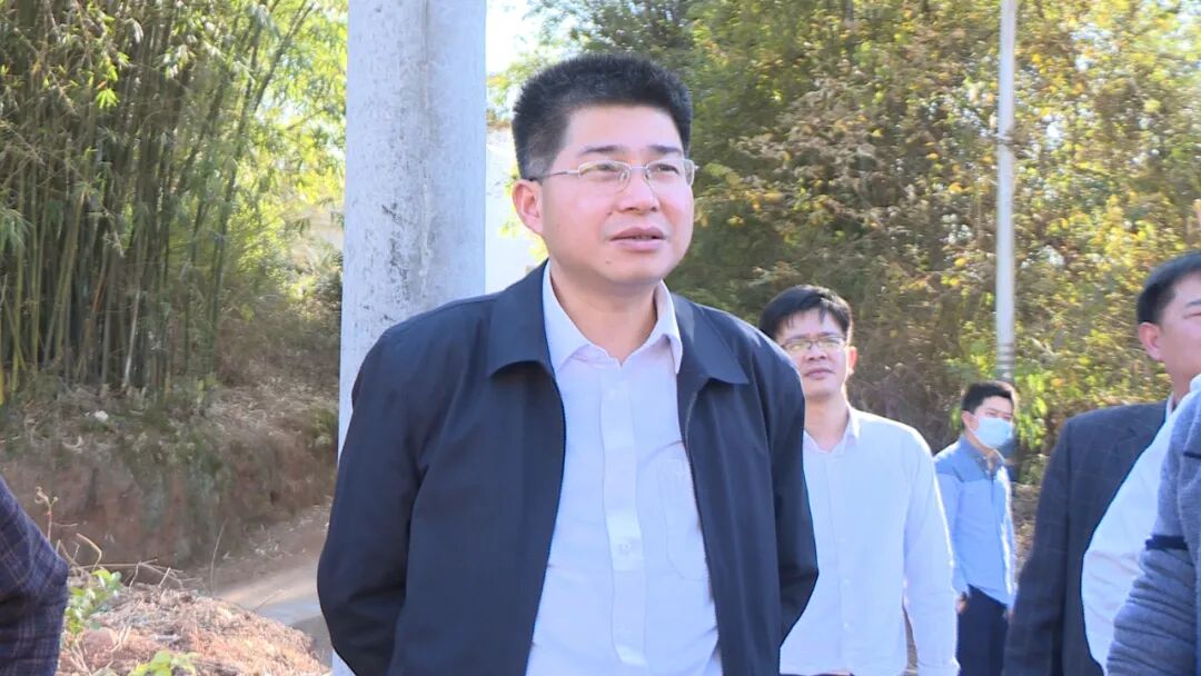 龙川县人民政府门户网站