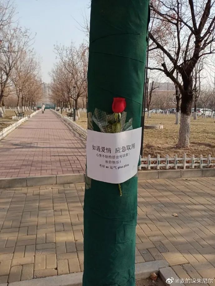 要想屁股光滑有弹性,你只需要一件神器!-微信头条网 要想屁股光滑有弹性,你只需要一件神器!
