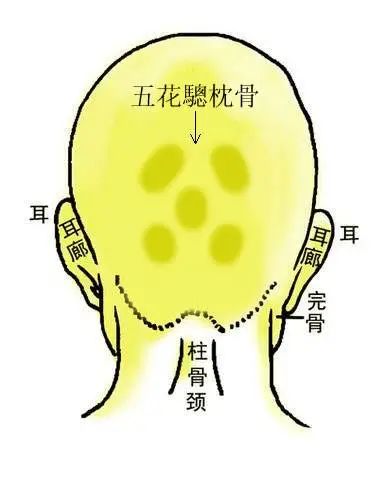 头有金骨，必有天相，发大财的富贵骨相！应该怎么看？